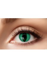 oeil de chat vert- lentilles 6 mois