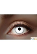 lentilles blanche UV 1 semaine